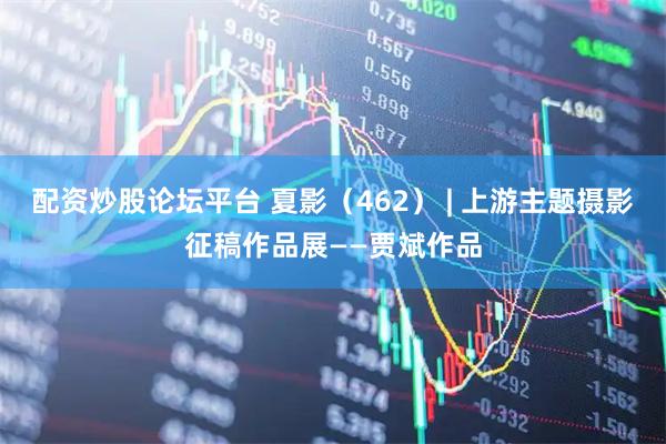 配资炒股论坛平台 夏影(462) | 上游主题摄影征稿作品展——贾斌作品